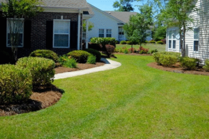 Always Green Landscaping: Elevating Outdoor Spaces Across Myrtle Beach, SC