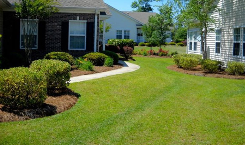 Always Green Landscaping: Elevating Outdoor Spaces Across Myrtle Beach, SC