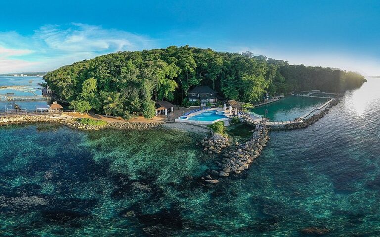 Dolphin Cove Jamaica: Where Adventure Meets Paradise